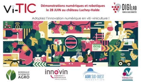 winegrid at vitic