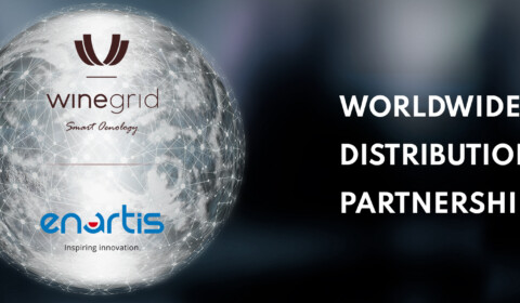 WINEGRID Enartis worldwide distributions partnership